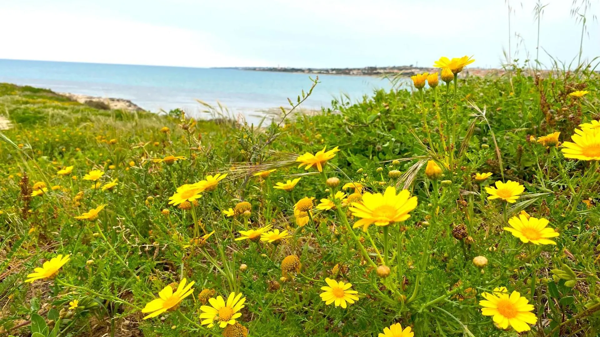 Villetta Conteamare Marina di Modica Casa vacanze